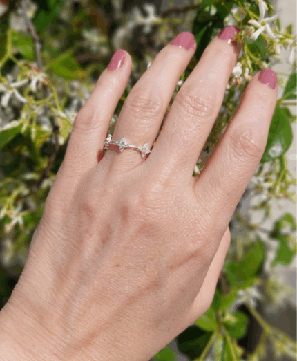 Anillo